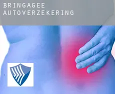Bringagee  autoverzekering
