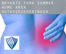 Bryants Fork Summer Home Area autoverzekeringen