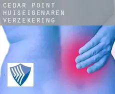 Cedar Point  huiseigenaren verzekering