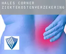 Hales Corner  ziektekostenverzekering