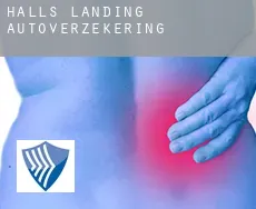 Halls Landing  autoverzekering
