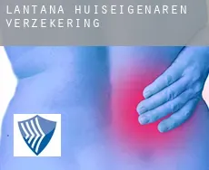 Lantana huiseigenaren verzekering