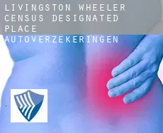 Livingston Wheeler  autoverzekeringen