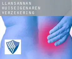 Llansannan  huiseigenaren verzekering