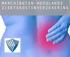 Marchington Woodlands  ziektekostenverzekering