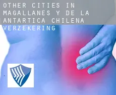 Other cities in Magallanes y de la Antartica Chilena  verzekering