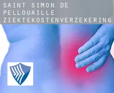 Saint-Simon-de-Pellouaille  ziektekostenverzekering