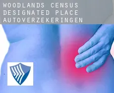 Woodlands  autoverzekeringen