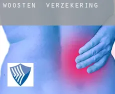 Woosten  verzekering