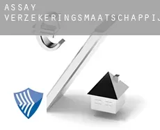 Assay verzekeringsmaatschappij