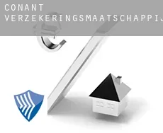 Conant  verzekeringsmaatschappij