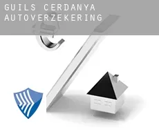 Guils de Cerdanya  autoverzekering