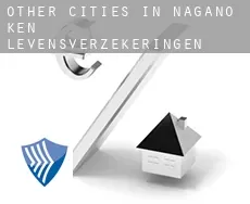 Other cities in Nagano-ken  levensverzekeringen