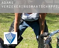 Adams  verzekeringsmaatschappij