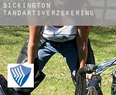 Bickington  tandartsverzekering