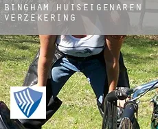 Bingham  huiseigenaren verzekering