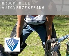 Broom Hill  autoverzekering