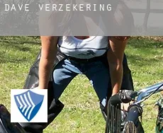 Dave  verzekering