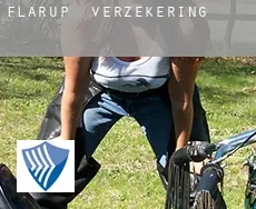 Flarup  verzekering
