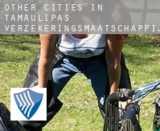 Other cities in Tamaulipas  verzekeringsmaatschappij