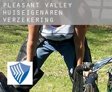 Pleasant Valley  huiseigenaren verzekering