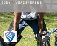 Tony  verzekering
