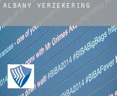 Albany  verzekering