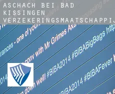 Aschach bei Bad Kissingen  verzekeringsmaatschappij