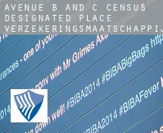 Avenue B and C verzekeringsmaatschappij