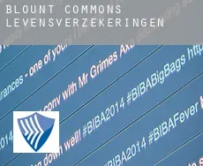 Blount Commons  levensverzekeringen