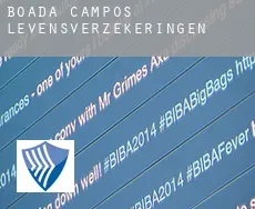 Boada de Campos  levensverzekeringen