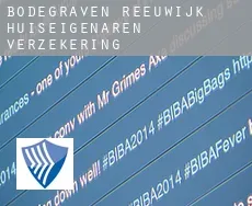 Bodegraven-Reeuwijk  huiseigenaren verzekering