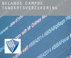 Bolaños de Campos  tandartsverzekering