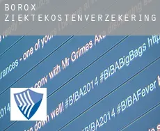 Borox  ziektekostenverzekering