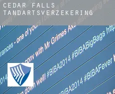 Cedar Falls  tandartsverzekering
