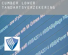 Cumber Lower  tandartsverzekering