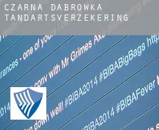 Czarna Dąbrówka  tandartsverzekering