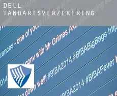 Dell  tandartsverzekering