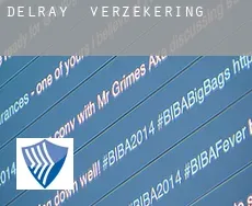 Delray  verzekering