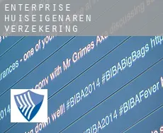 Enterprise huiseigenaren verzekering