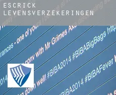 Escrick  levensverzekeringen