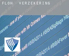 Floh  verzekering