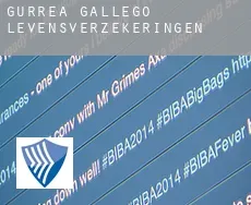 Gurrea de Gállego  levensverzekeringen