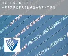 Halls Bluff  verzekeringsagenten