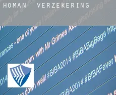 Homan  verzekering