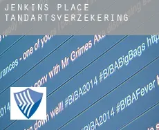 Jenkins Place  tandartsverzekering