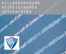 Killogeenaghan  huiseigenaren verzekering
