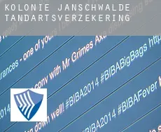 Kolonie Jänschwalde  tandartsverzekering