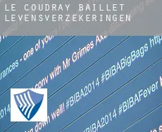 Le Coudray-Baillet levensverzekeringen