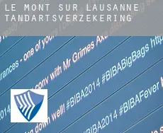 Le Mont-sur-Lausanne  tandartsverzekering